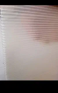 کارتن پلاست