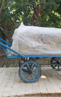 تلویز یون