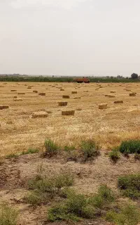 خرید فروش محصولات کشاورزی