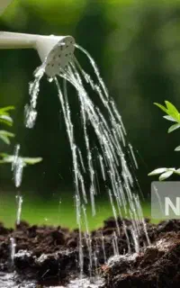 خریدار آب ملکی چاه گلستان