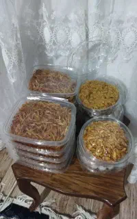 انواع سبزیجات و ترشیجانت نارنج