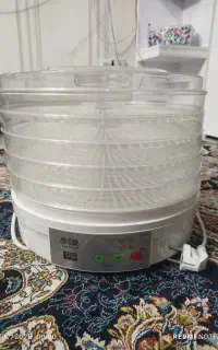 میوه خشت کن