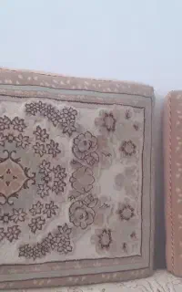 دو عدد پشتی