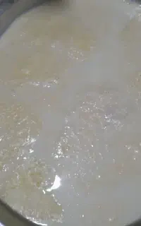 شیر محلی گاوه پرچرب همه روزه
