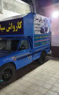 خدمات کارواش سیار