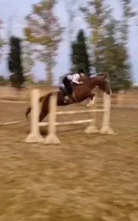 آموزش سوارکاری همه‌‌ی سنین