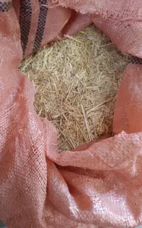 کاه فروشی کیلو ۱۴۰۰۰