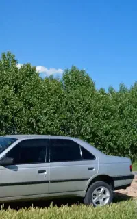 سرویس دربستی پژو ۴۰۵