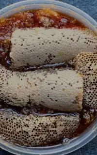 عسل طبیعی چهل گیاه  گرده  گل