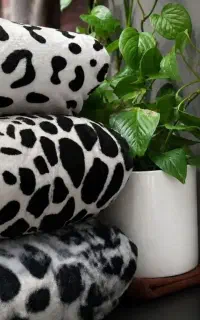 پتو دونفره پوستی ارغوان