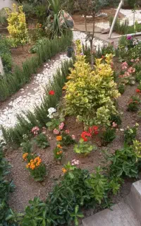 باغبانی گل گیاهرس کاری چمن زنی تمیز کردن باغچه