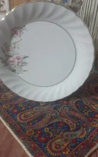 بشقاب چینی   ۲۴ عدد