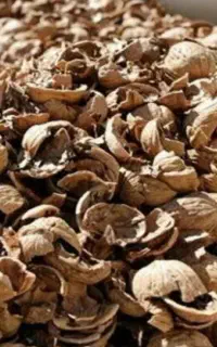 پوست گردو و بادام به قیمت روز آلرام