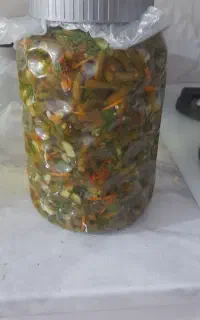 ترشی لوبیا وکلم سفید وقرمز و فلفل