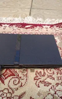 سونی دو فلش خور