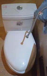 توالت فرنگی