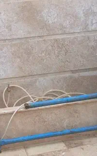 دار قالی