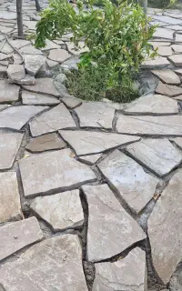 بنا سنگ کار