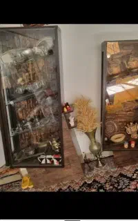 ویترین نو