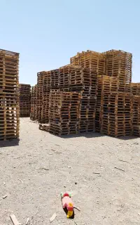 پالت چوبی و پلاستیکی و جعبه صندوق
