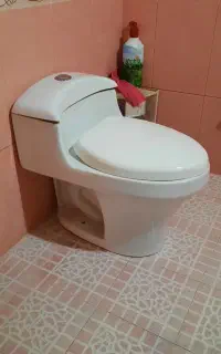 توالت فرنگی