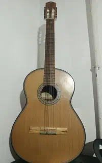گیتار دالاهو در حد