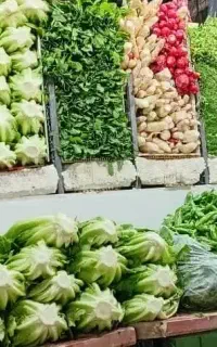 سبزی فروشی