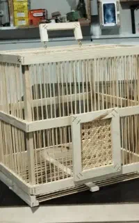 قفس های چوبی
