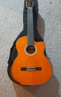 گیتار کلاسیک پیکاپدار نو