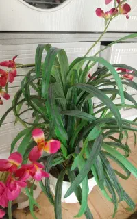 تعدادی وسیله منزل