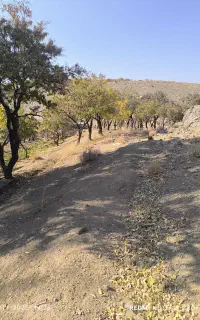 انجام کلیه خدمات کشاورزی