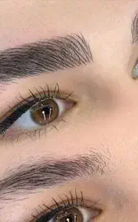 فیبروز و میکرو ابرو ۶۰۰