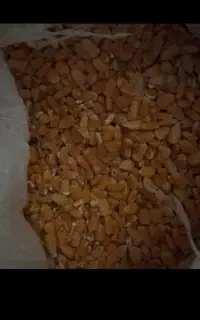 ذرت