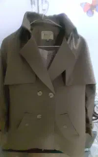 پالتو