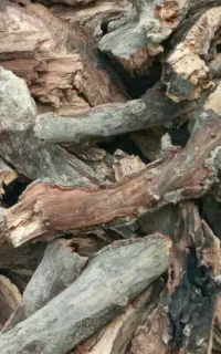 ه ی زم