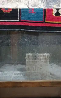 اکواریوم بزرگ