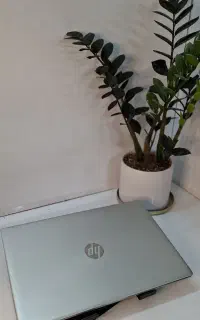 لپتاپ Hp Probook 650 G5