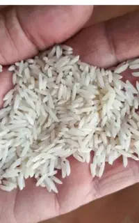 برنج دمسیاه دهچناشک