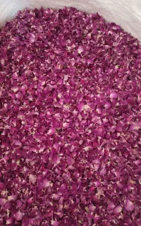گل محمدی مخملی درجه یک