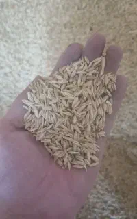 فروش حدودایک خاورجو