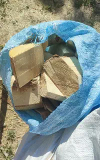هیزم گردو و انواع جوابهای جنگلی