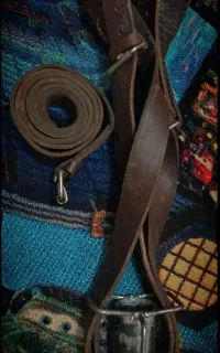 هیکلی علم کشی ضربدری
