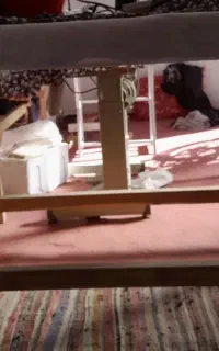 اتوبخار.میز اتو مکش و چوبی. چرخ راسته برادر ژاپنی