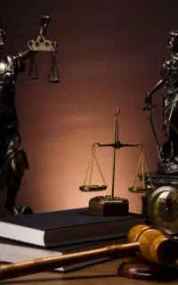 وکیل پایه یک دادگستری و مشاور حقوقی