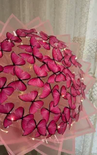 گل پروانه ای