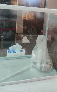 2عدداکواریوم باوسایل