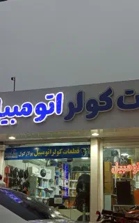 ویزیتور برای امور تبلیغاتی