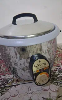 پلوپزبرقی