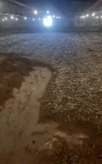 کود مرغی سالنی