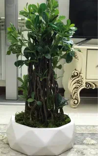 درختچه مصنوعی بونسا